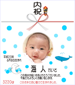 出産内祝い体重米デザイン イルカ